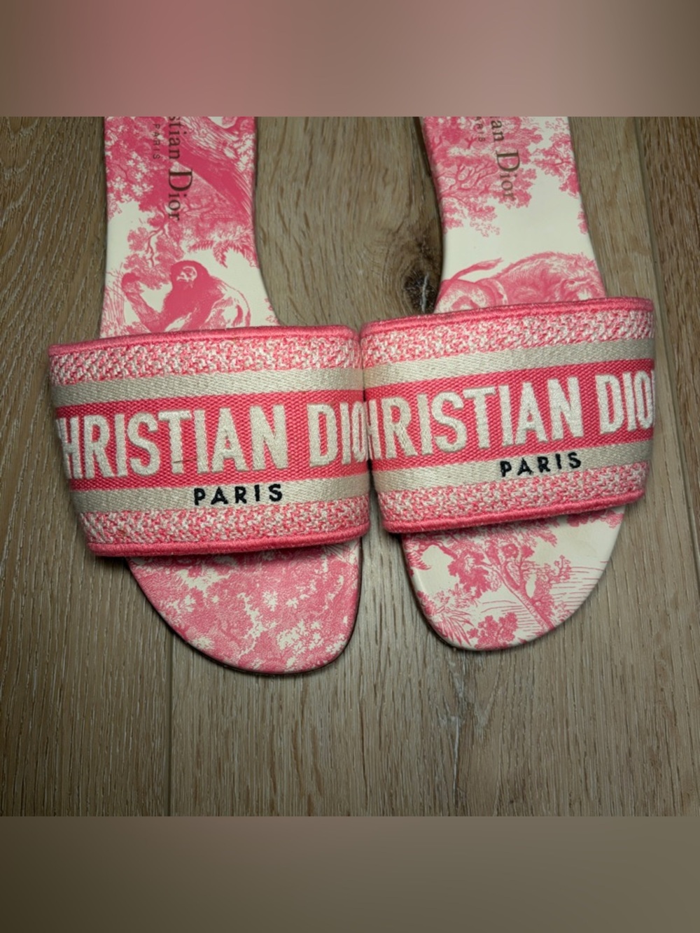 Dior Dway Embroidered Slides - Picture 4 of 6